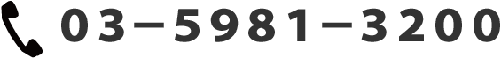 03-5981-3200